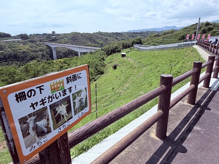 鹿島市 海道しるべIMG_5554