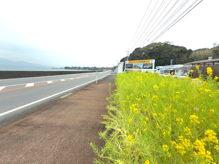 ëÝÁáÏѵù¶¨¾®Ä¹°æÄ¾ÇäŹIMG_0616