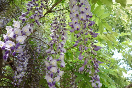 ��-��������DSC05947