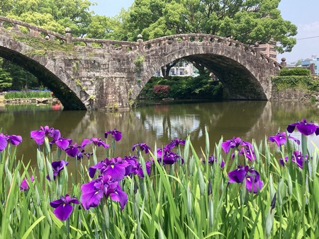 2022.05.24���������IMG_8257