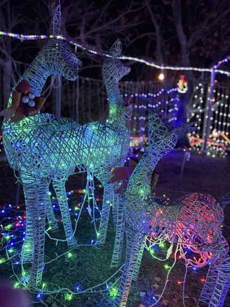 ����Į��������Υ��ꥹ�ޥ�����ߥ͡������IMG_8491