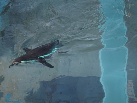 2021.11.14 �����ݻԡ��彽����ư��ʪ�ࡡ�������PB136633