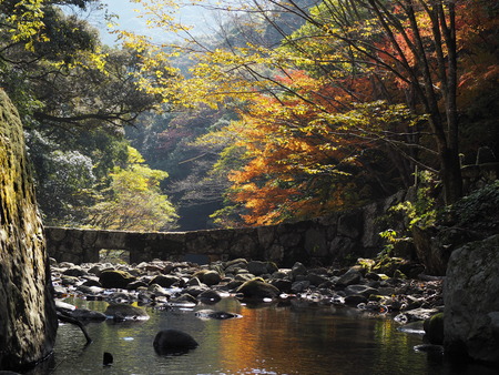 ����Թ���Į�����ήPB261602