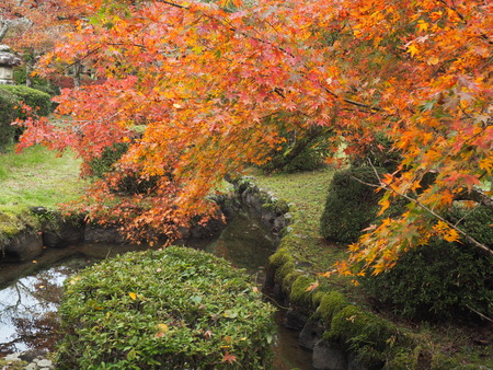 2024.11.22 多久市 西渓公園PB170027