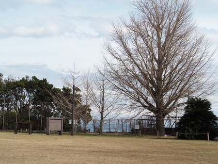 2023.03.18 南島原市深江町 大野木場小学校P1017080