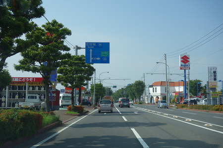 3-大村市ひまわりDSC01247