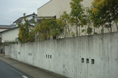 9−島原 柴犬DSC09232