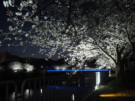 2023.03.31��Ĺ��ԡ�ȬϺ��κ�����P1011020