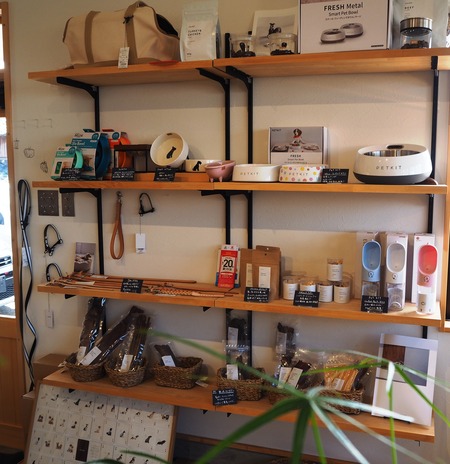 2021.09.25¡¡±ÀÀç»Ô¹ñ¸«Ä®¡¡rain P9160911