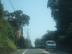 ta-1DSCF6549