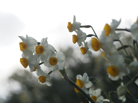 Ĺ�������ꡡ����ε֡���¦Ÿ˾��P1012120