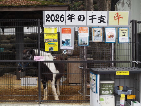 Ĺ����ࡡ��P2141727