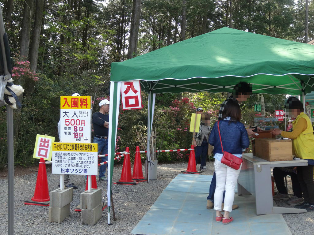 松本つつじ園 つつじと芝桜の競演 大村市東大村 長崎 諫早市民 ふくちゃんの食う 寝る 遊ぶ日記 松本つつじ園 つつじと芝桜の競演 大村市東大村 長崎 諫早市民 ふくちゃんの食う 寝る 遊ぶ日記