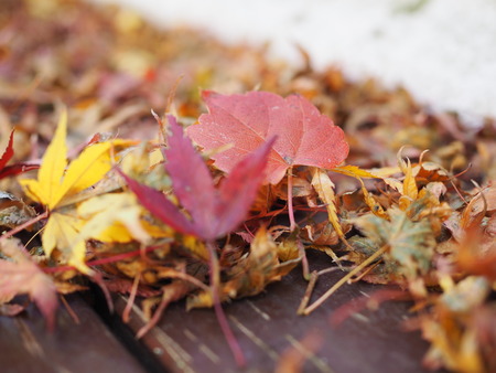 ����Թ���Į�����ή������PB261519