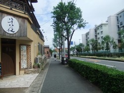 hachi-1DSCF9715