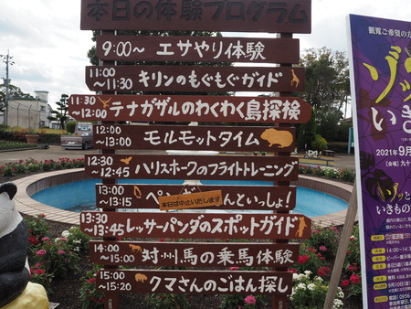 2021.11.14 �����ݻԡ��彽����ư��ʪ�ࡡ�������PB136150