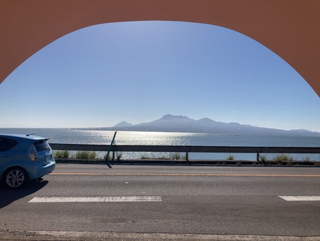 2024.11.09�����ե롼�ĥХ���IMG_8033