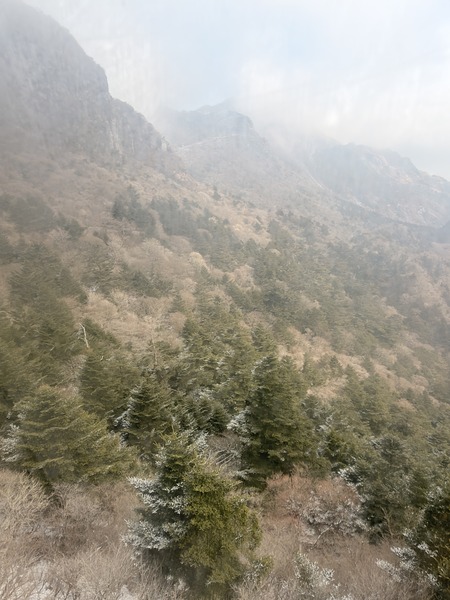 雲仙仁田峠の霧氷 雲仙ロープウェイIIMG_3886