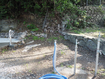 2023.07.24������������Į����곤����쥭���׾�P1018390