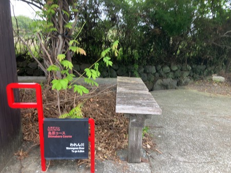 島原 われん川の彼岸花IMG_7798