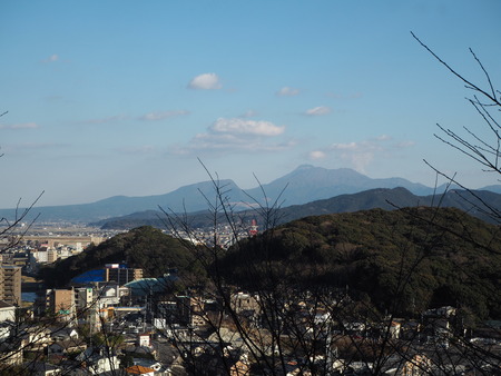2022.01.19諫早市 御館山神社 梅園P1190036