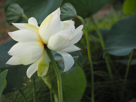 2025.07.26������ϥ���P7270067