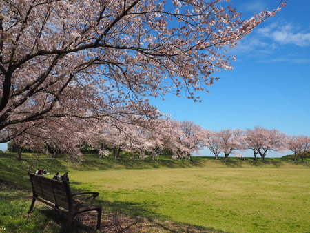 2023.04.01 雲仙市国見町 百花台公園P1011637