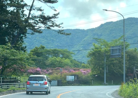 ���祴��վ첣IMG_7383