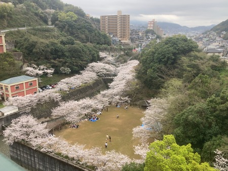 2024.03.31 西山下流ダム公園IMG_7928