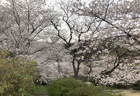 2023.03.25 長与町 長与ダムIMG_5421
