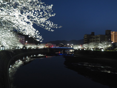 2023.03.31��Ĺ��ԡ�ȬϺ��κ�����P1010987