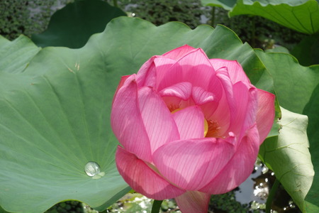 15�����������ϥ���DSC08849