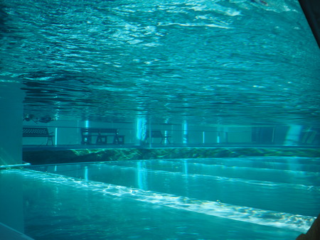 2021.11.14 �����ݻԡ��彽����ư��ʪ�ࡡ�������PB136578