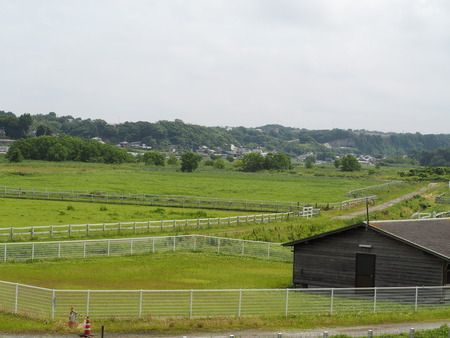 2023.06.10������Կ���Į������դ줢���Ҿ�P1019682