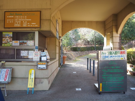 諫早市小長井町 山茶花高原P1161569