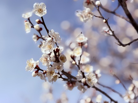 ��ۻ����ҡ��߱�IIMG_7100