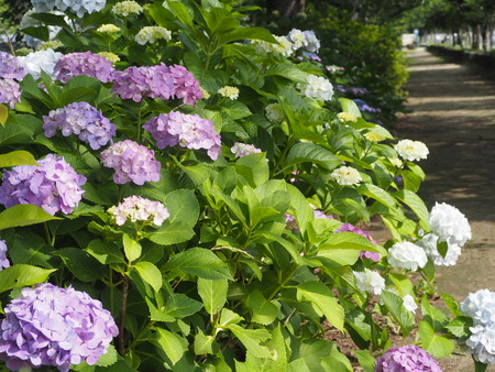 2023.06.10������Կ����޽�ۼ���PP1019444