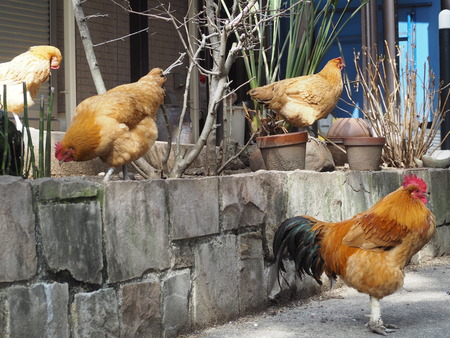 2023.02.25ĹԡP1016204