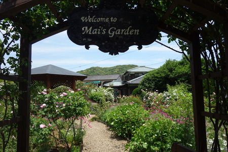 ��������Х��DSC00218