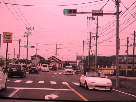 2-佐賀県みやき町 山田 ひまわり園PB033647
