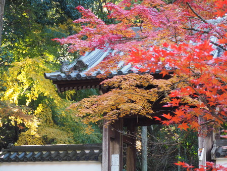 2025.11.28������ԡ�ŷʹ��PB281481