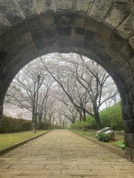 2024.03.31 西山下流ダム公園IMG_7805
