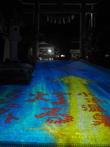 ���Ͳ�������ץ��������ȡ����Ϳ���P2281559