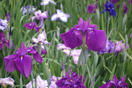 ��������¼����DSC08269