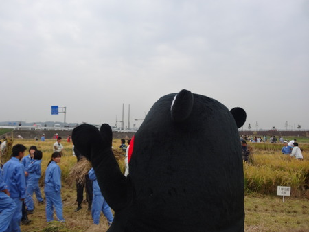 29-DSC09859
