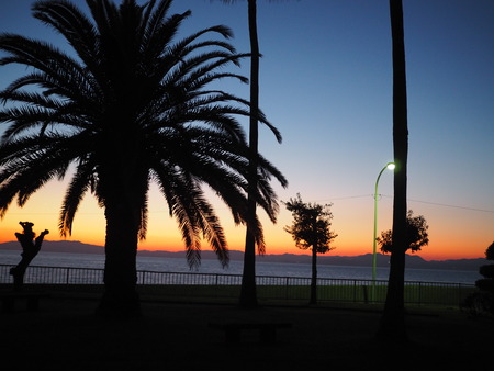 ¾®Éͻٽ겣P2211384