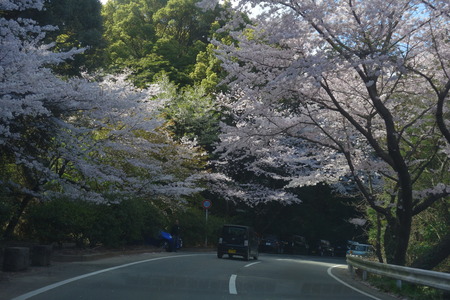 4-����Կ���Į������ƻDSC01292