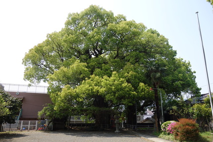 ��-���������Υ�DSC05957