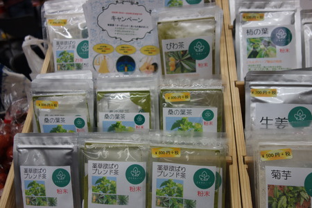 2-長崎市琴海 ともながハーブDSC07947