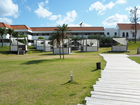 5-Ĺ��ԡ���������Ĺ�ꡡ�����ե�P9272516